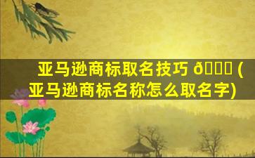 亚马逊商标取名技巧 🕊 (亚马逊商标名称怎么取名字)